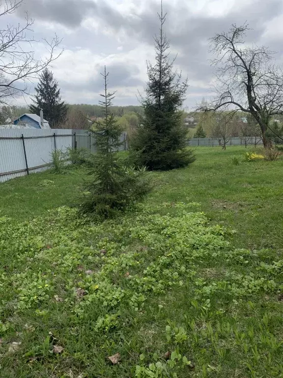 Участок в Тульская область, Ясногорск № 4 СНТ, ул. Центральная, 5 (7.0 ... - Фото 0