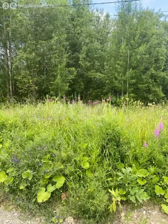 Участок в Ухта, микрорайон УРМЗ (13.2 м) - Фото 2