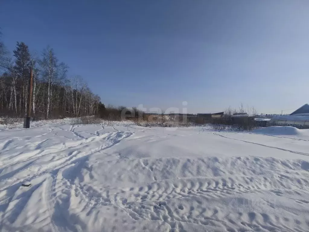Участок в Курганская область, Курган Малиновка-8 СТ, ул. Лесная (5.5 ... - Фото 1
