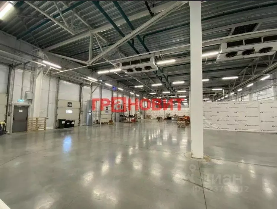 Склад в Новосибирская область, Новосибирский район, с. Толмачево ул. ... - Фото 1