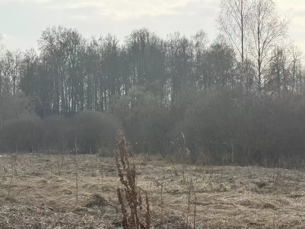 Участок в Московская область, Можайский муниципальный округ, д. ... - Фото 2