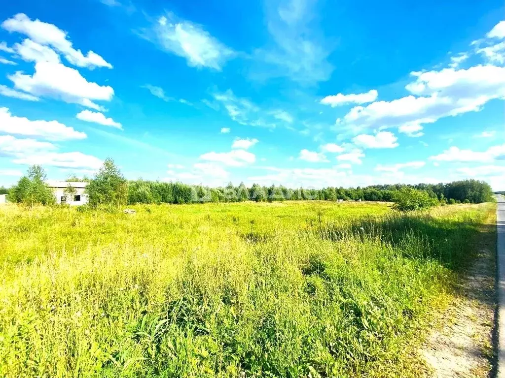 Участок в Владимирская область, Кольчугинский муниципальный округ, с. ... - Фото 2