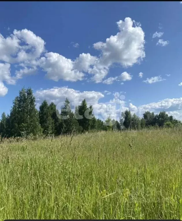 Участок в Алтайский край, Первомайский район, с. Санниково ул. ... - Фото 2