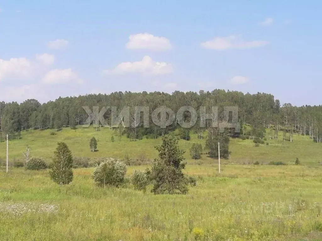 Участок в Нижегородская область, Княгининский муниципальный округ, ... - Фото 1