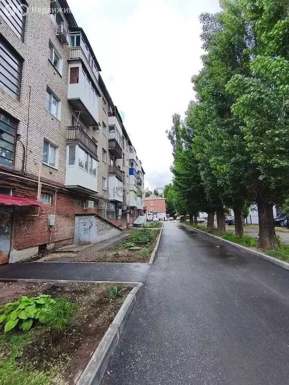 1-комнатная квартира: Энгельс, проспект Строителей, 4 (30.5 м) - Фото 1