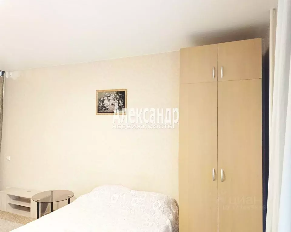 Студия Санкт-Петербург ул. Коллонтай, 17к2 (30.0 м) - Фото 2