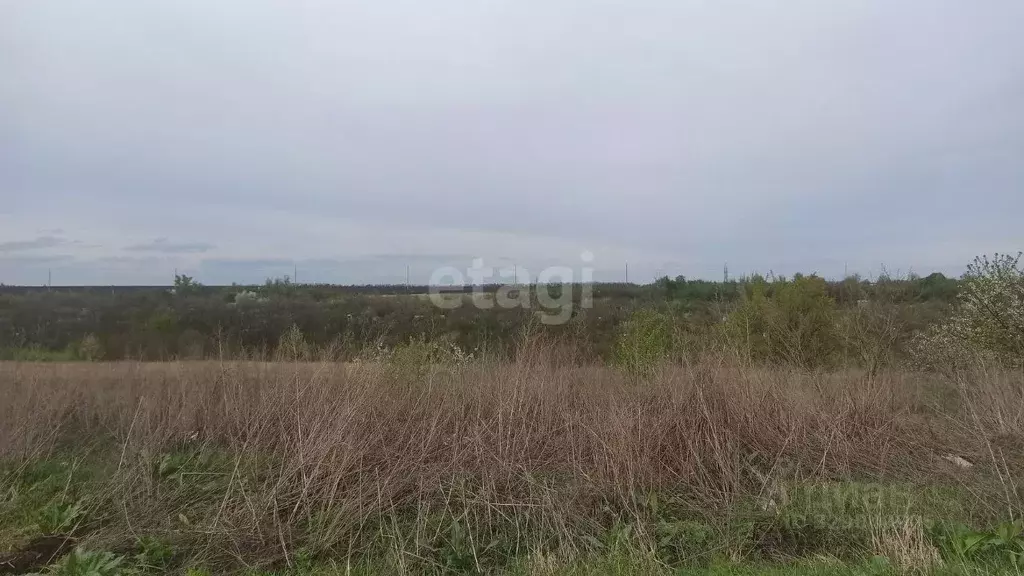 Участок в Белгородская область, Белгородский район, Ериковское с/пос, ... - Фото 1