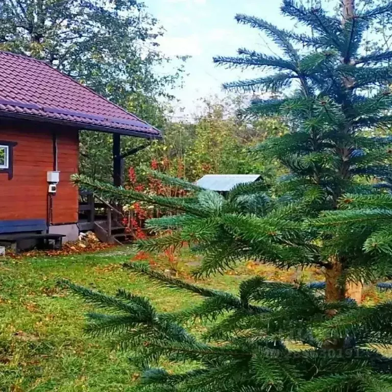 Дом в Адыгея, Майкопский район, Даховское с/пос, с. Хамышки ул. Южная, ... - Фото 1