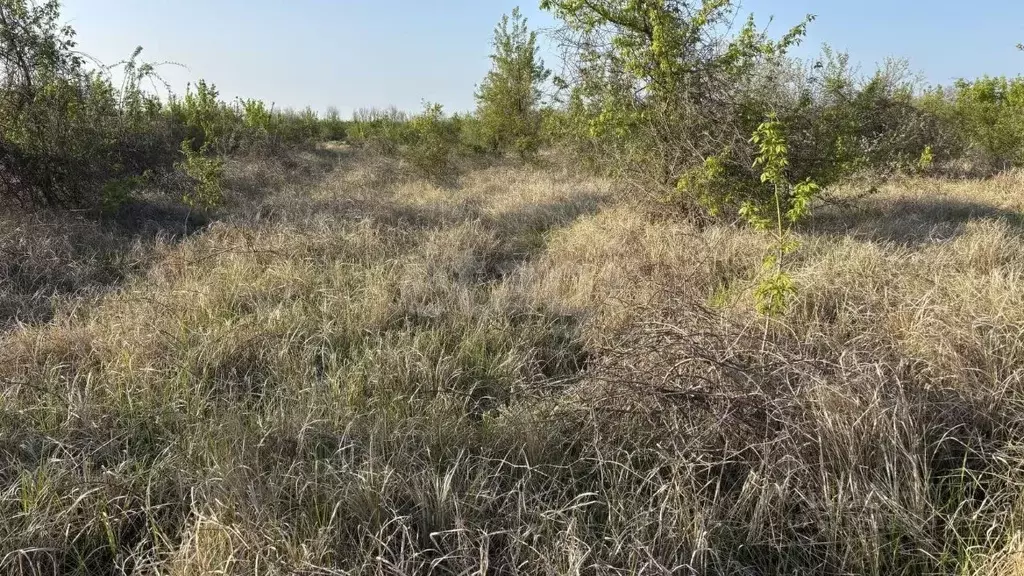 Участок в Краснодарский край, Анапа муниципальный округ, пос. Верхнее ... - Фото 1