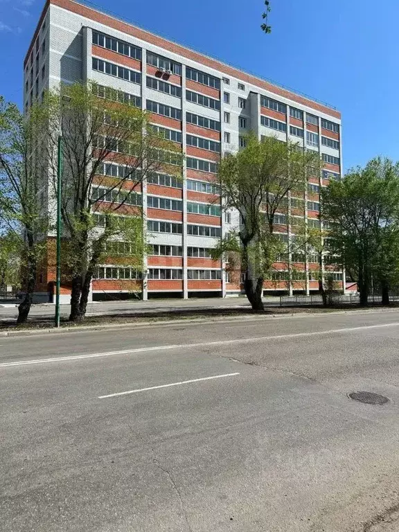 Студия Амурская область, Благовещенск Октябрьская ул., 233 (23.9 м) - Фото 2