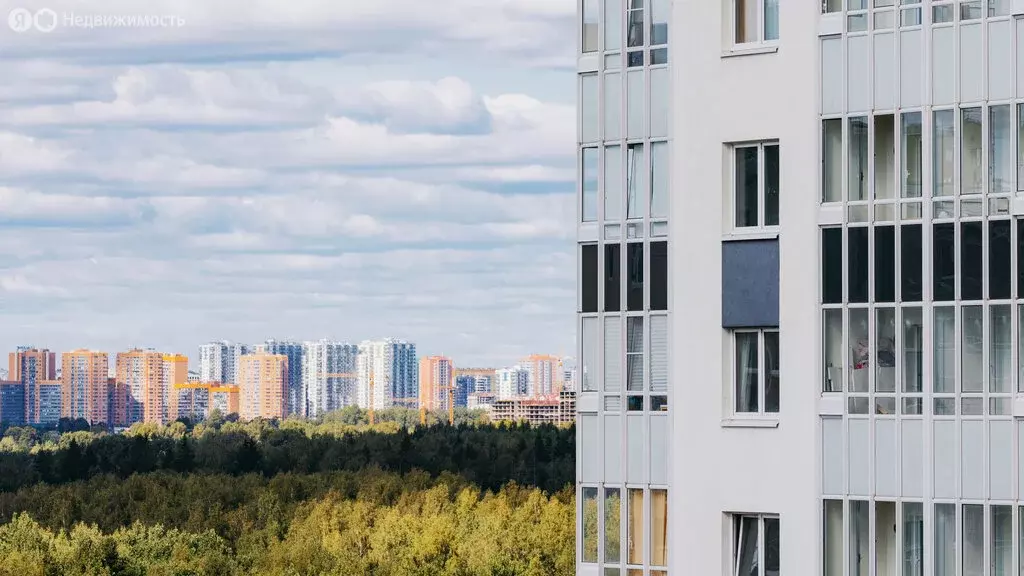 Квартира-студия: Санкт-Петербург, Пейзажная улица, 24к1 (19 м) - Фото 2