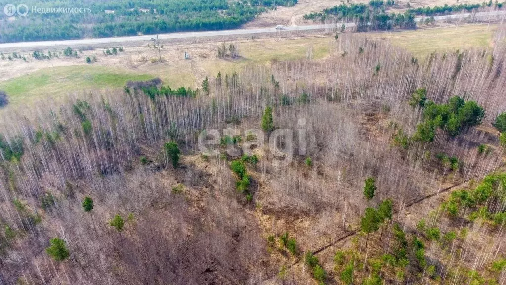 Участок в Нижнетавдинский район, село Черепаново (17.6 м) - Фото 0