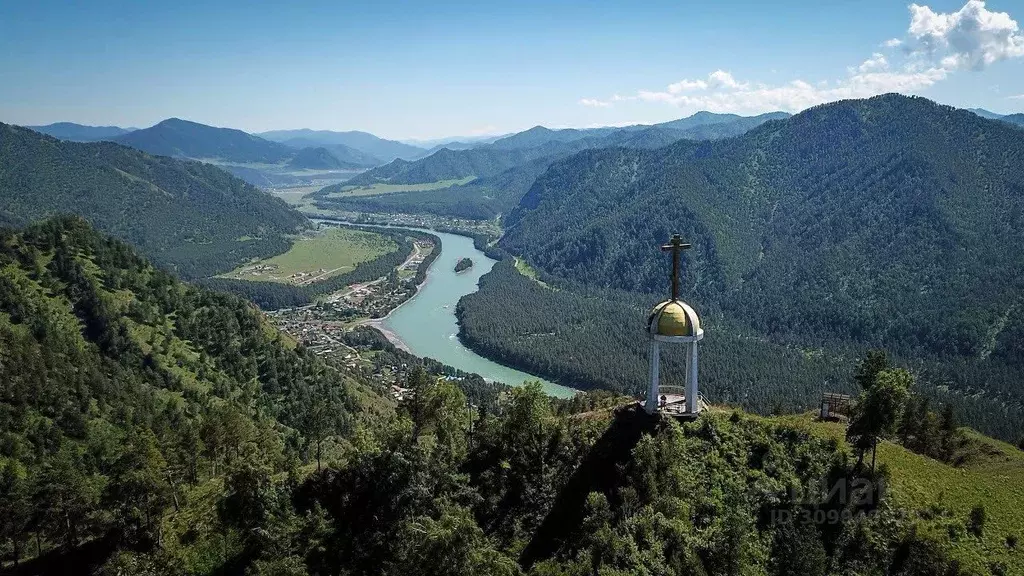 Участок в Алтай, Чемальский район, с. Турбаза Катунь Сосновая ул. ... - Фото 1