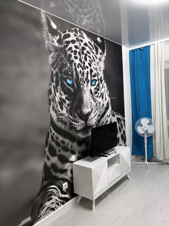 1-к кв. Псковская область, Псков Линейная ул., 85 (38.0 м) - Фото 1