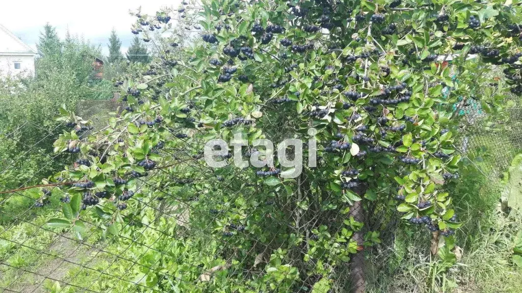 Участок в Башкортостан, Кармаскалинский район, Подлубовский сельсовет, ... - Фото 2
