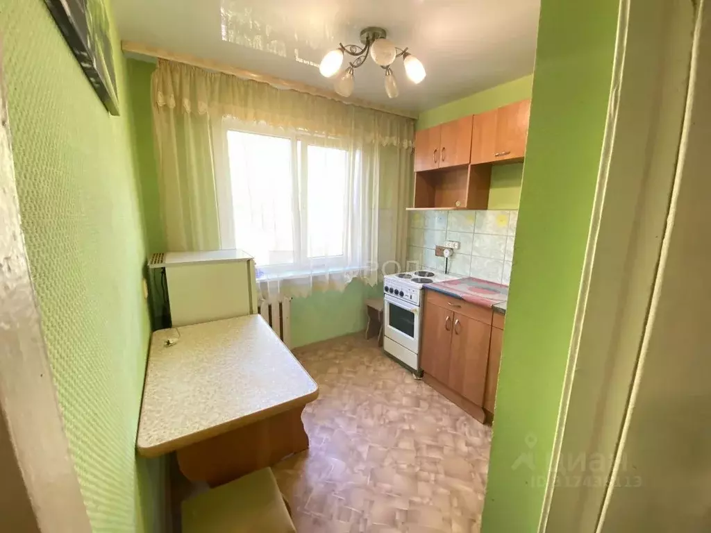 1-к кв. Новосибирская область, Новосибирск Выставочная ул., 11 (35.0 ... - Фото 0