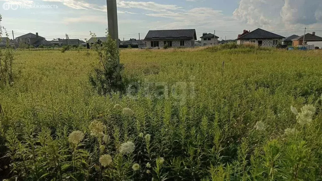 Участок в Калининградская область, Гурьевский муниципальный округ, ... - Фото 1