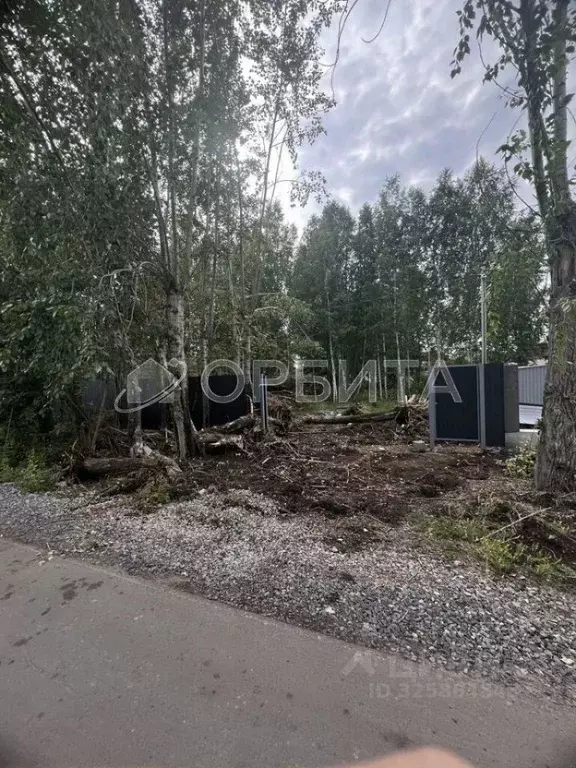 Участок в Тюменская область, Тюмень Звенящие Кедры Тюмени ДНП,  (17.0 ... - Фото 1