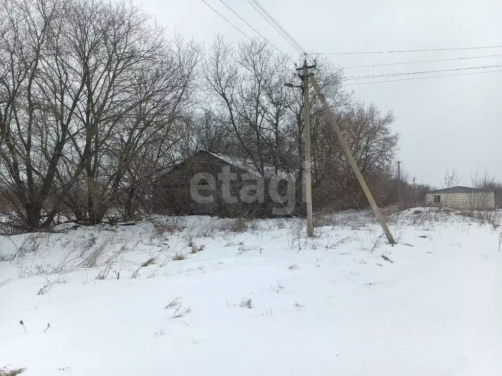 Склад в Белгородская область, Ивнянский муниципальный округ, с. ... - Фото 1