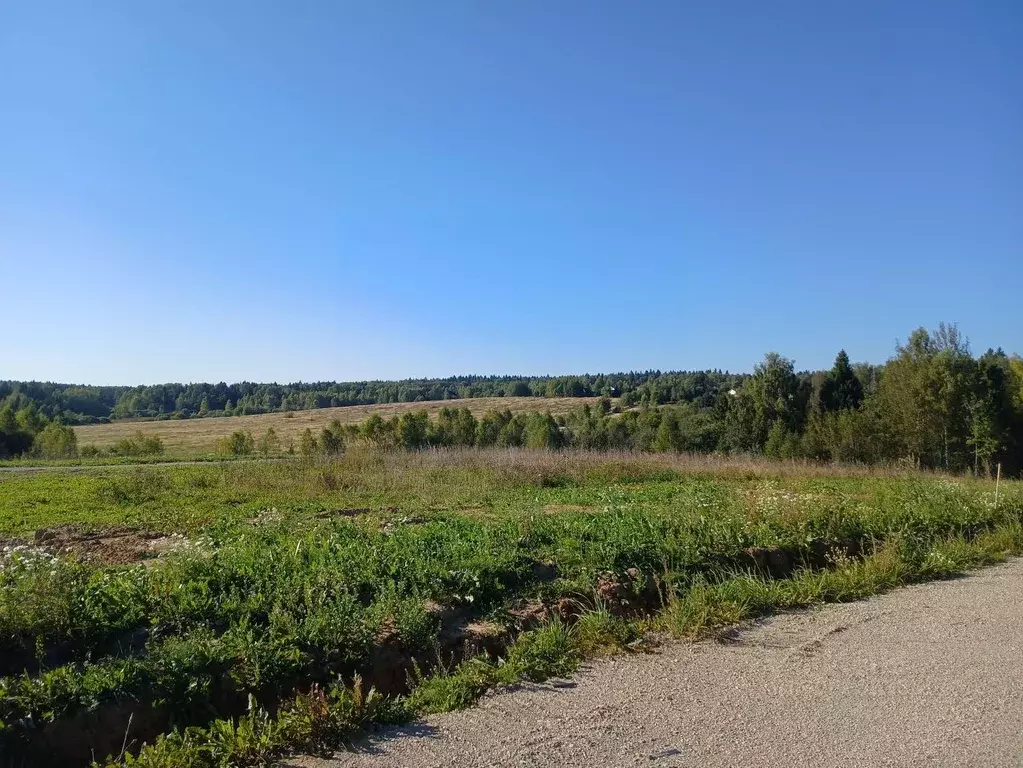 участок в московская область, дмитровский городской округ, д. малое . - Фото 1