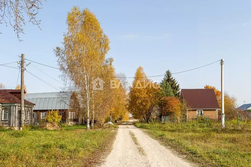 Участок в Владимирская область, Суздальский район, Боголюбовское ... - Фото 1