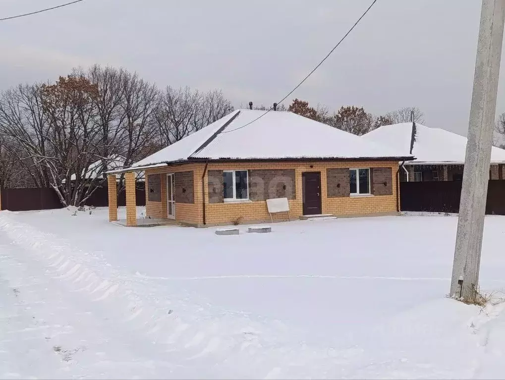 Дом в Амурская область, Благовещенский район, с. Кантон-Коммуна ул. ... - Фото 2