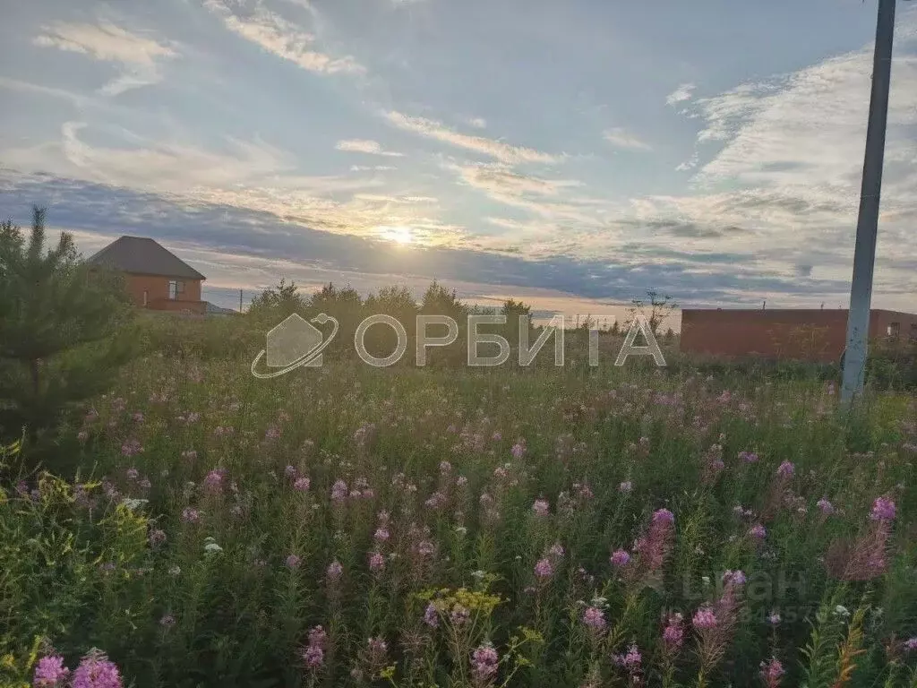 Участок в Тюменская область, Тюменский муниципальный округ, с. ... - Фото 1