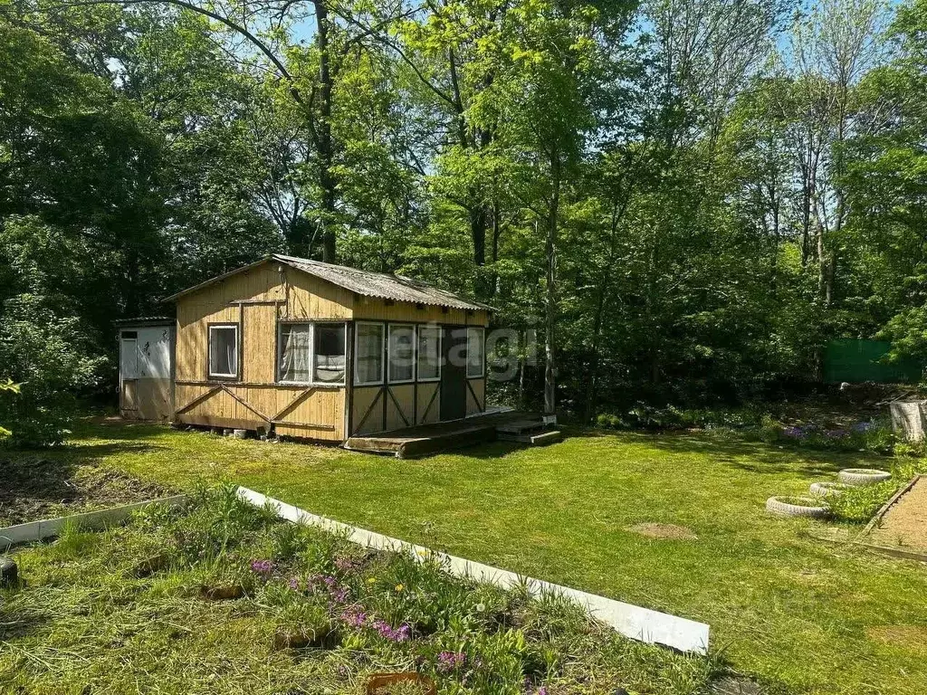 Дом в Приморский край, Кировский пгт ул. Советская, 78 (20 м) - Фото 0