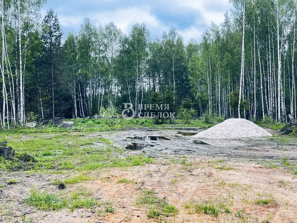 Участок в Владимирская область, Судогодский муниципальный округ, д. ... - Фото 1