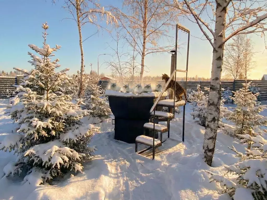 Дом в Московская область, Клин городской округ, Вельга Парк кп ул. ... - Фото 1