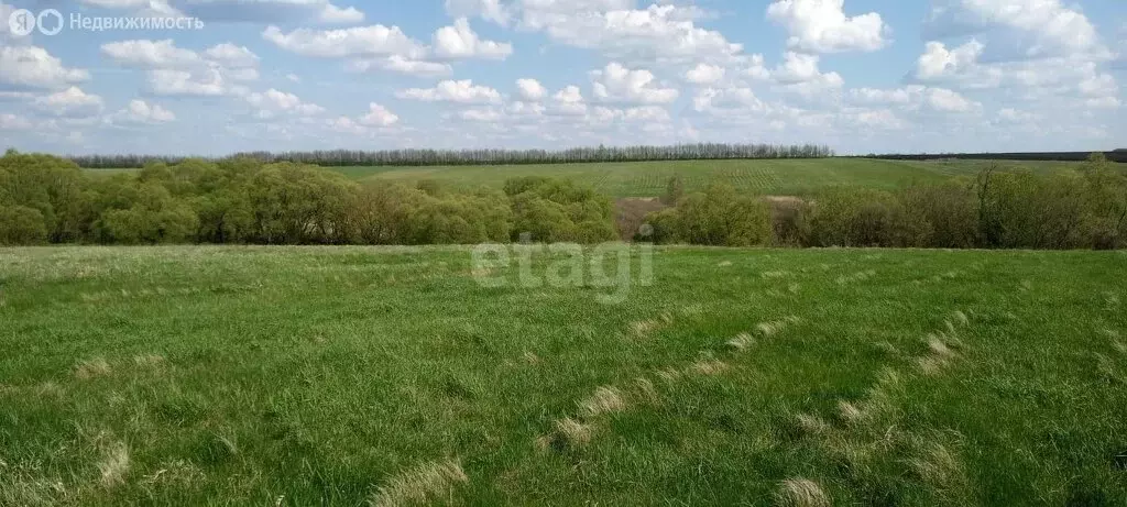 Участок в село Александровка, Советская улица (41 м) - Фото 1