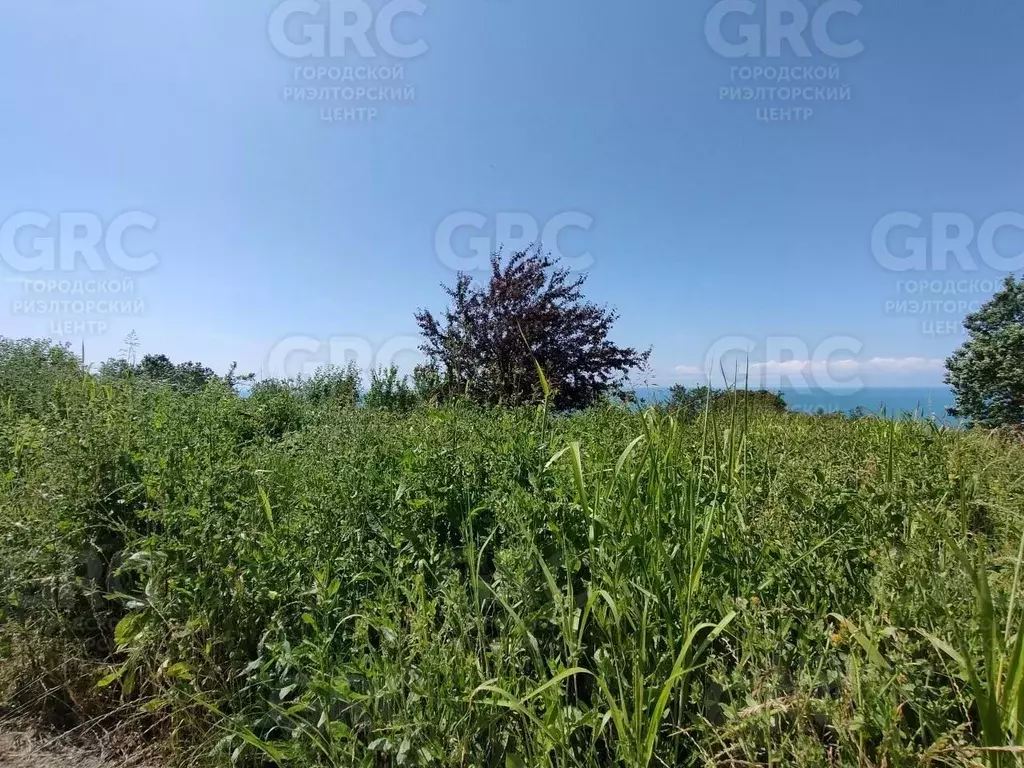 Участок в Краснодарский край, Сочи Звездная ул., 19д (170.0 сот.) - Фото 1