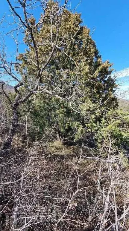 Участок в Краснодарский край, Новороссийск городской округ, с. Широкая ... - Фото 1