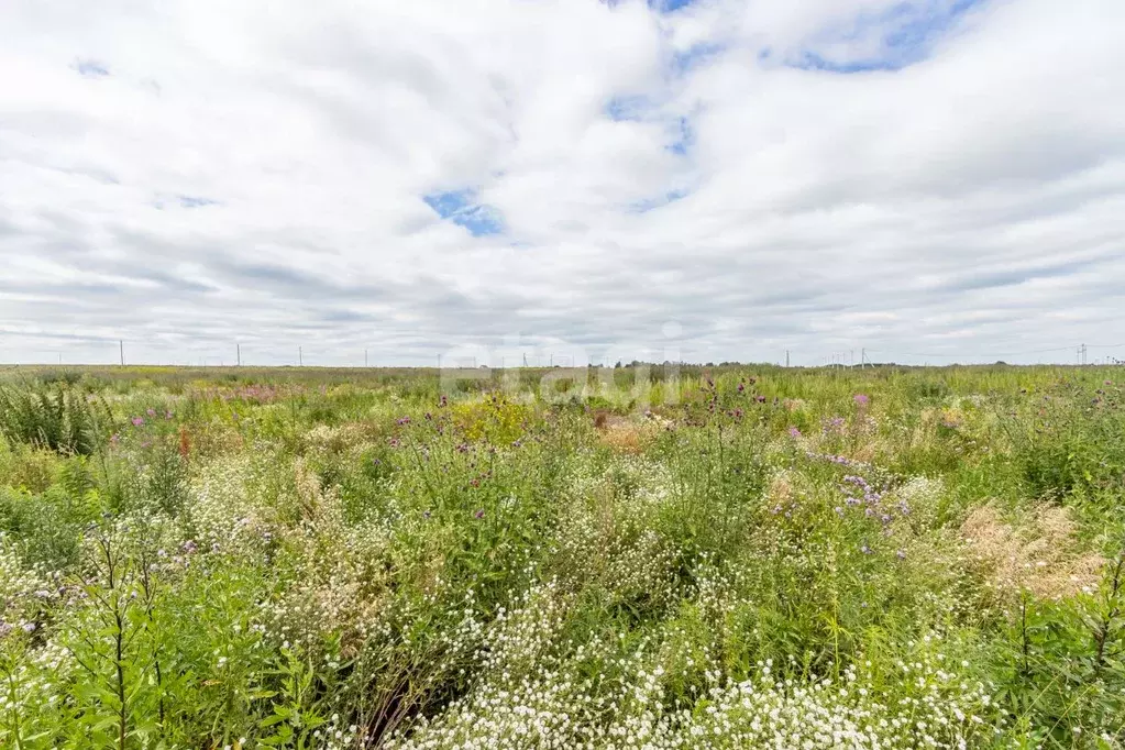 Участок в Тюменская область, Тюменский муниципальный округ, ... - Фото 1