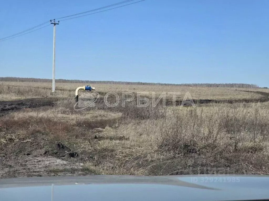 Участок в Тюменская область, Тюменский муниципальный округ, ... - Фото 2