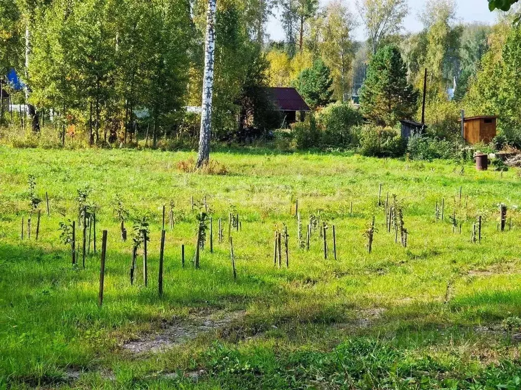 Дом в Новосибирская область, Новосибирский район, Барышевский ... - Фото 1