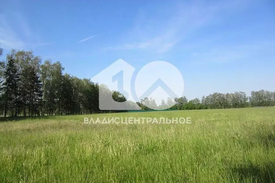 Участок в Новосибирская область, Колыванский район, Пять озер СНТ ... - Фото 1