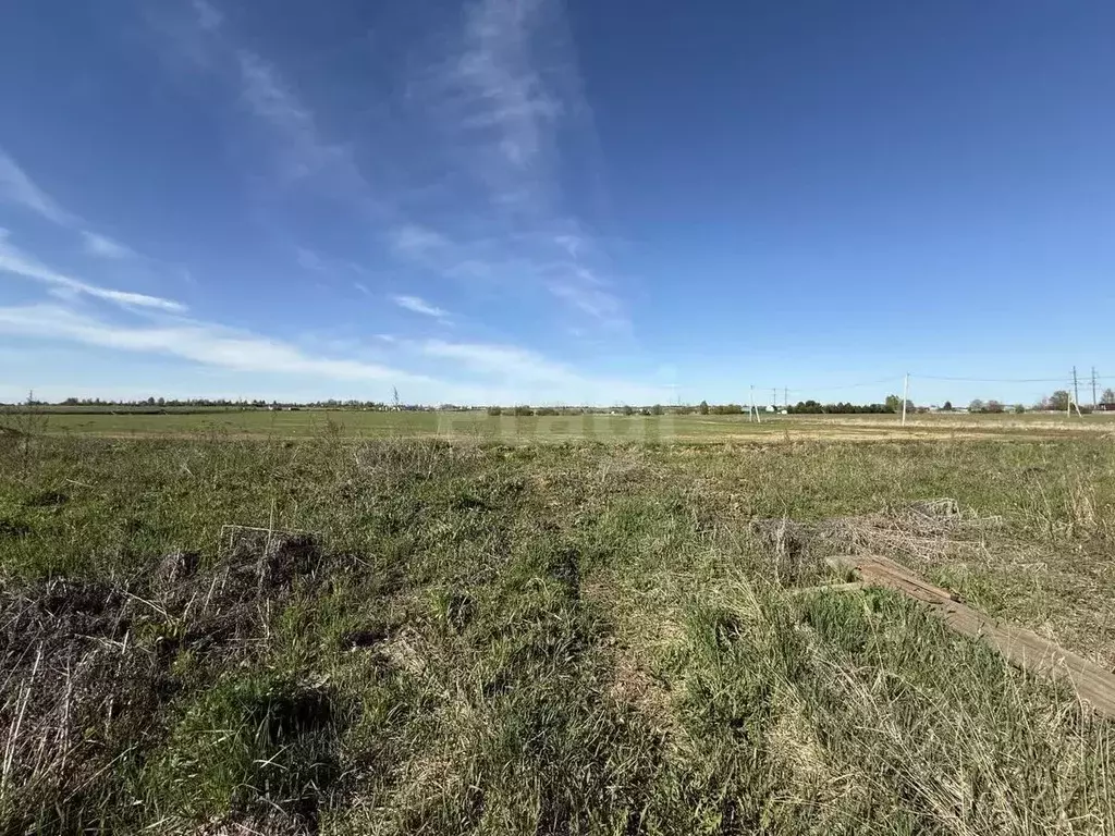 Участок в Вологодская область, д. Подберевское  (17.68 сот.) - Фото 1