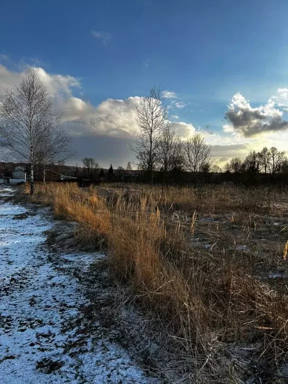 Участок в Московская область, Ступино городской округ, д. Съяново  ... - Фото 1