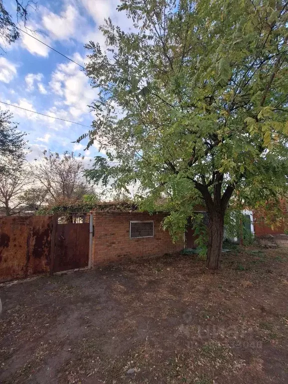 Дом в Ростовская область, Багаевский район, Елкин хут. ул. Григорьева, ... - Фото 2
