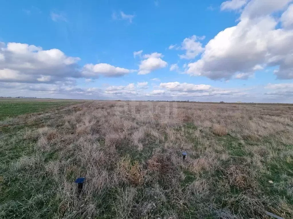 Участок в Крым, Сакский район, с. Молочное  (23.41 сот.) - Фото 0