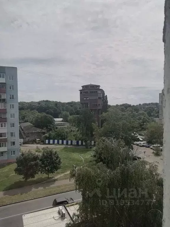 1-к кв. Калининградская область, Балтийск просп. Ленина, 67 (34.0 м) - Фото 1