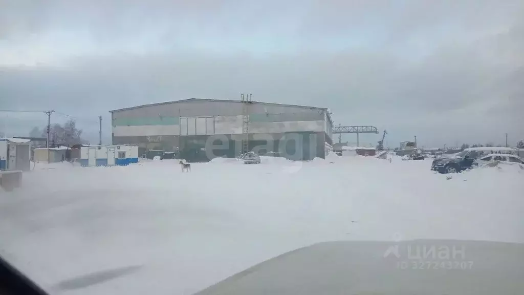 Склад в Ямало-Ненецкий АО, Ноябрьск Промузел Пелей кв-л, 11-я панель, ... - Фото 1