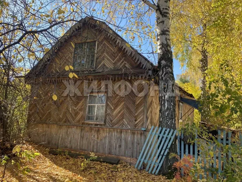 Дом в Новосибирская область, Новосибирск Березовая Роща СТ,  (20 м) - Фото 1