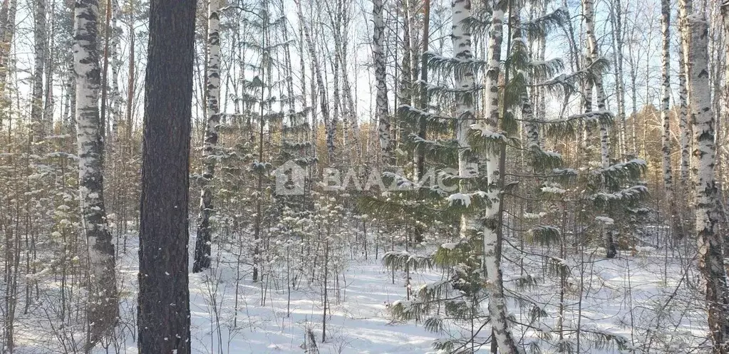 Участок в Бурятия, Тункинский район, пос. Аршан  (10.0 сот.) - Фото 2