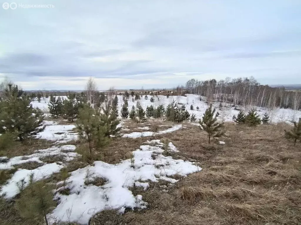 Участок в Красноярск (100 м) - Фото 1
