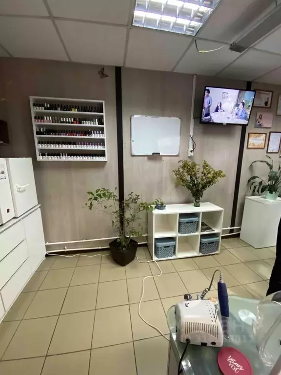 Помещение свободного назначения в Иркутская область, Иркутск ул. Павла ... - Фото 1