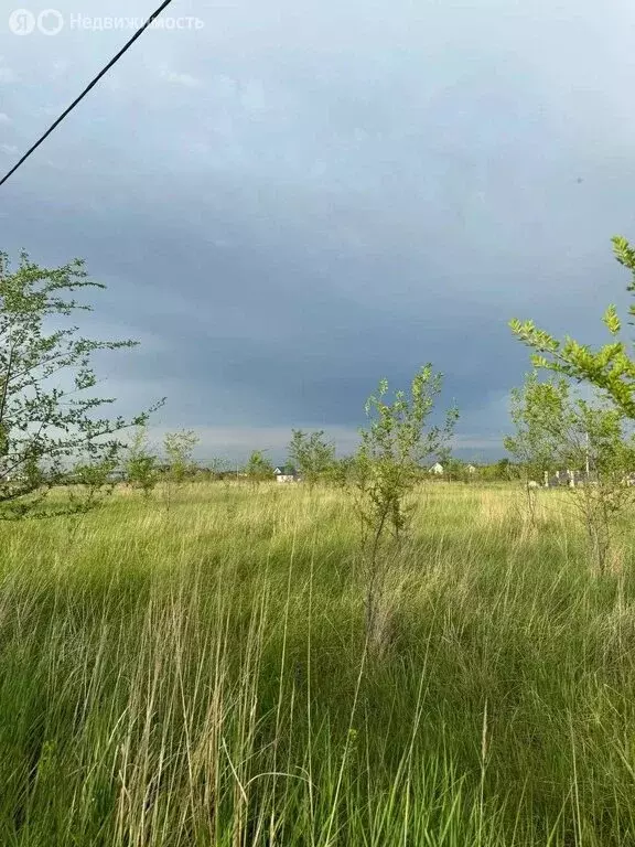 Участок в Волжский район, сельское поселение Чёрновский, Ягодная улица ... - Фото 1