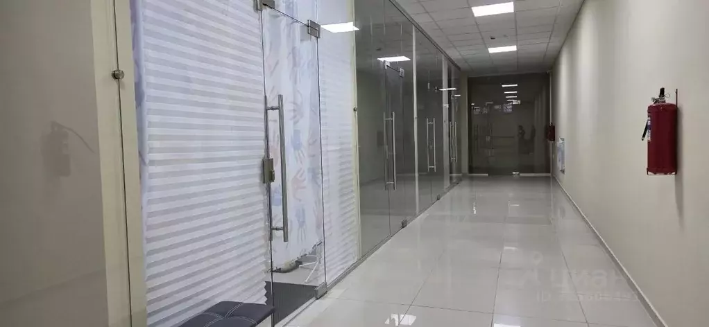 Торговая площадь в Липецкая область, Елец ул. Льва Толстого, 8 (18 м) - Фото 1