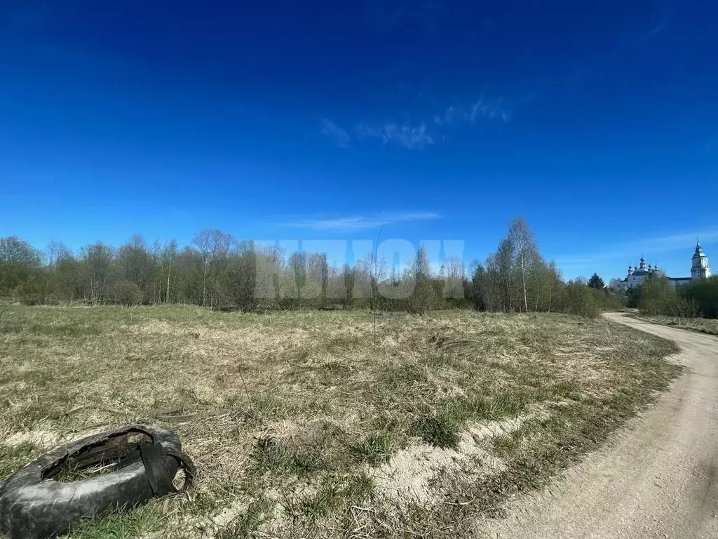 Участок в Вологодская область, Сокольский муниципальный округ, с. ... - Фото 1